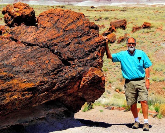 boondock-Petrified-Forest-Natl-Park