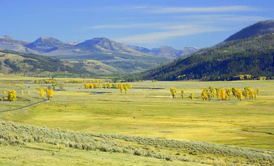 boondock-Yellowstone-Natl-Park-Lamar-Valley