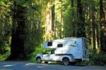 boondock-Redwood-Natl-Park-camper