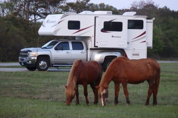 #083 - C&J RamseyAssateague Island National Seashore, Maryland2012 Chevy Silverado 35002014 Adventurer 116DSCamera Used - Olympus Stylus SP-100EEWe were heading out for an evening walk during our visit to Assateague Island National Seashore Campground and noticed several people gathering near our truck camper.  We turned around to see what the people were looking at; low and behold, there were two wild horses grazing next to our rig.