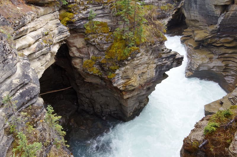 Athabasca Falls Canadian Rockies