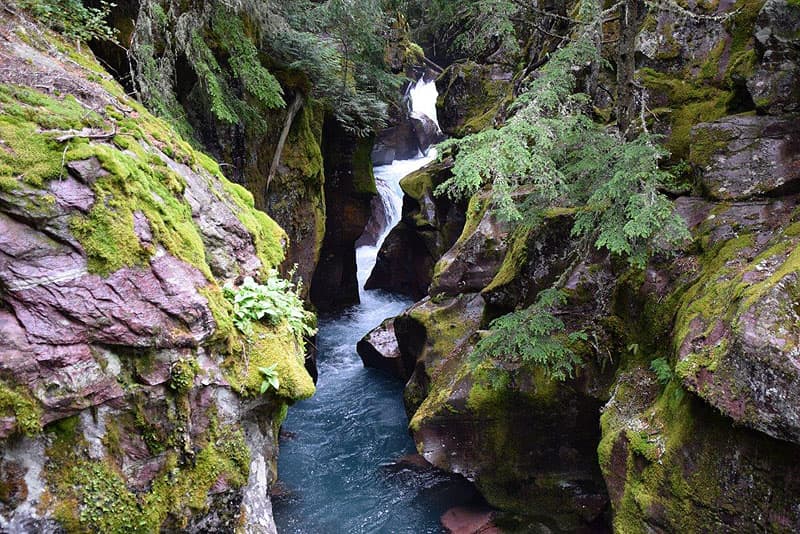 Avalanche Creek, Glacier National Park