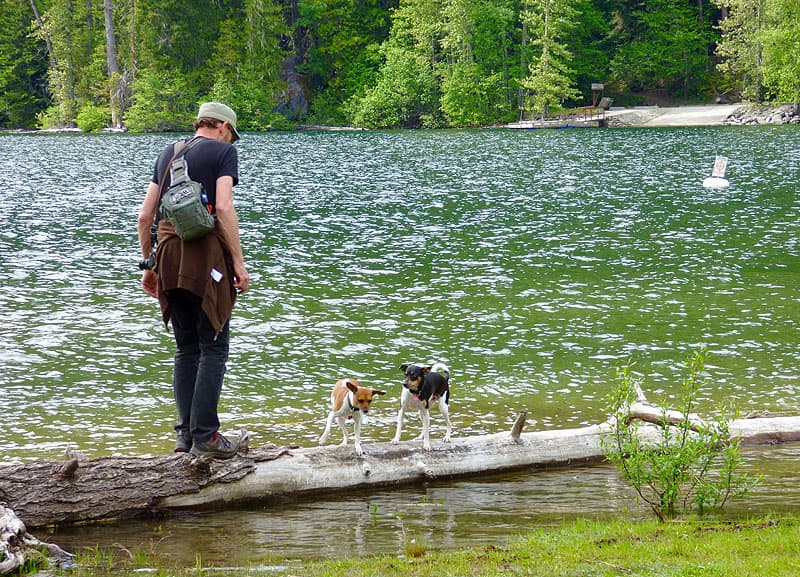 Hiking at Birkenhead Provincial Park