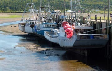 Bear River boats hanging with low tide