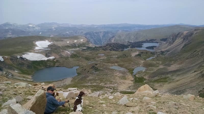 Beartooth Highway Scenery Brittany Spaniels