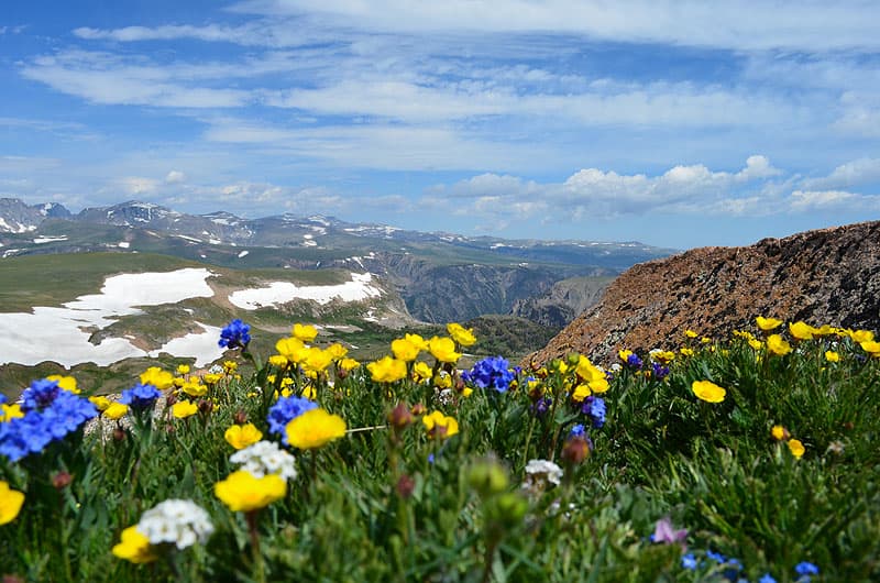 Beartooth Highway starting down towards Red Lodge