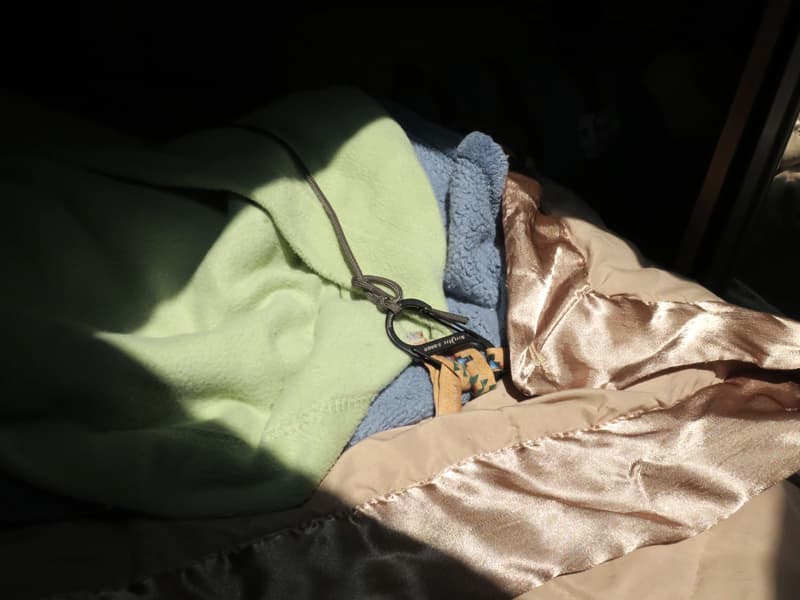 Bed S Shaped Carabiner Hooked Into The Fabric Loops