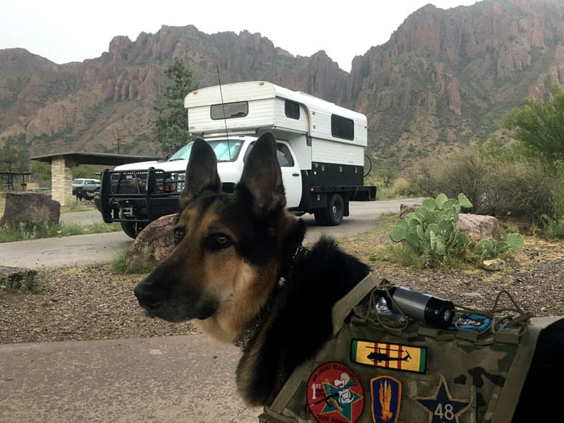 Big Bend, Texas with Toby the dog