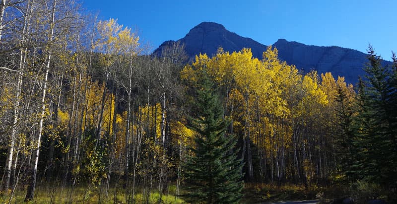 Bow Valley Parkway between Banff and Lake Louise