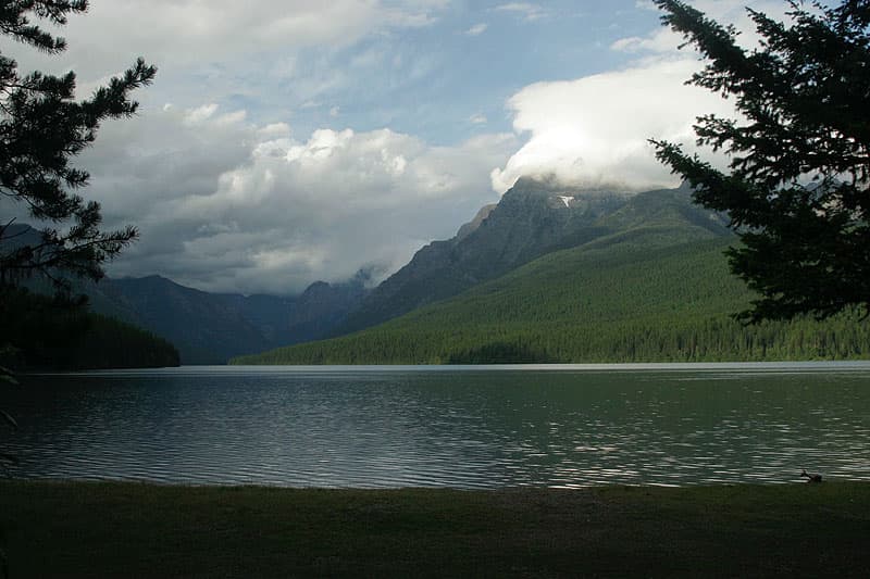 Bowman Lake in Montana