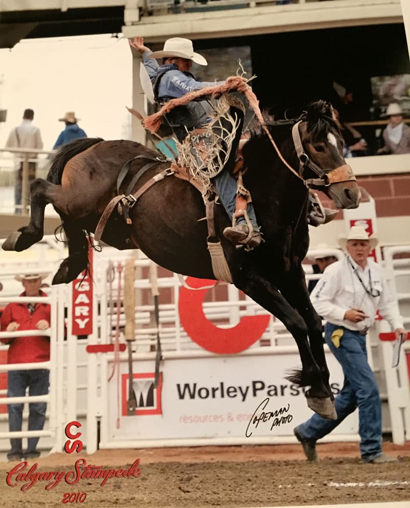 Calgary Stampede Rodeo