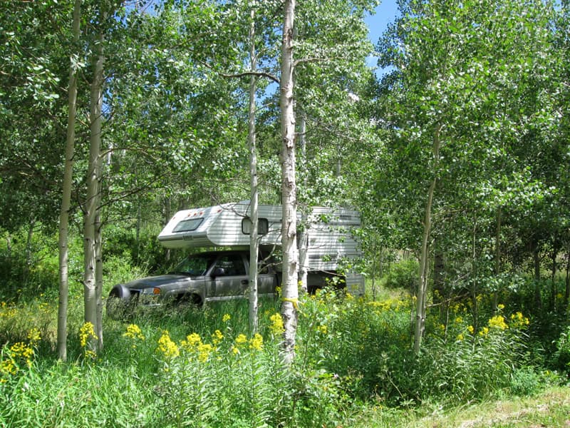 Campground On Flat Tops Scenic Trail Colorado