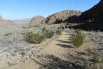 Big-bend-national-park-trail