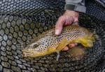 Ray-VanHorn-fishing-4