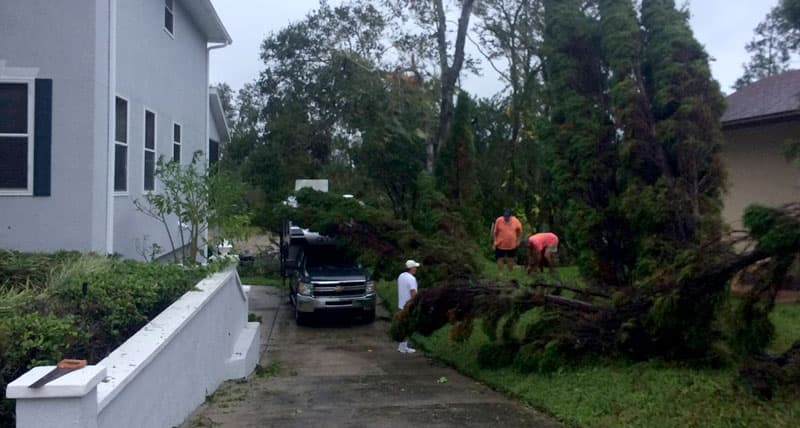 Tree almost hit Cirrus camper