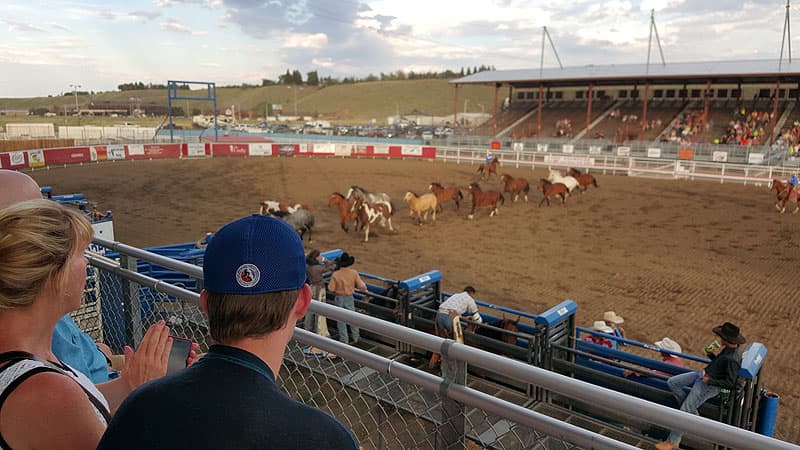 Cody Rodeo in Wyoming