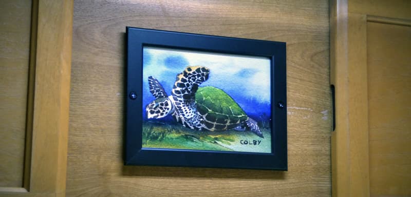 Mike's turtle watercolor postcard