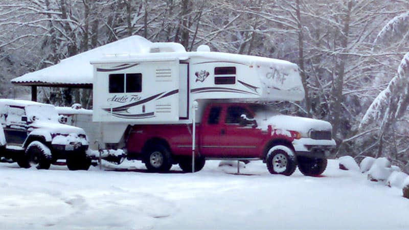 Cold-weather-camping Arctic Fox