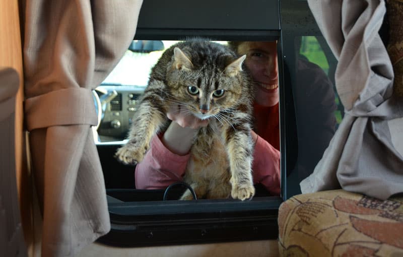 Compression Boot For Pets In Truck Campers