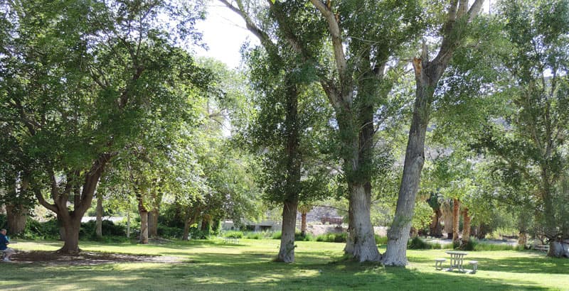 Cool grassy oasis at Historic Scotty's Castle