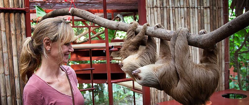 Costa Rica sloths