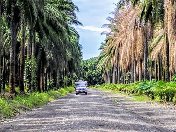 #258 - Tammy BarbourCosta Rica2008 Toyota Tundra2010 Palomino BroncoCamera Used - Google phoneWe are on a one year plus journey driving the Pan American Highway from Tennessee to Patagonia in Argentina.
