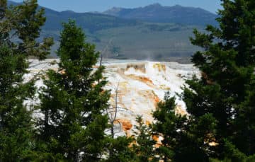 Mammoth Hot Springs in Yellowstone 2015