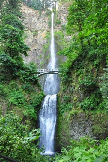 Multnomah waterfall 2015