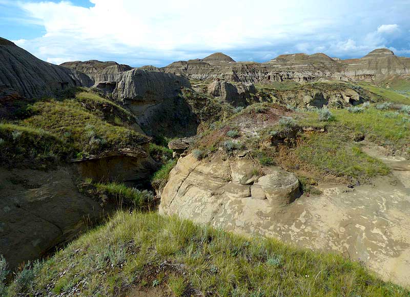 Dinosaur Provincial Park, Alberta, Canada