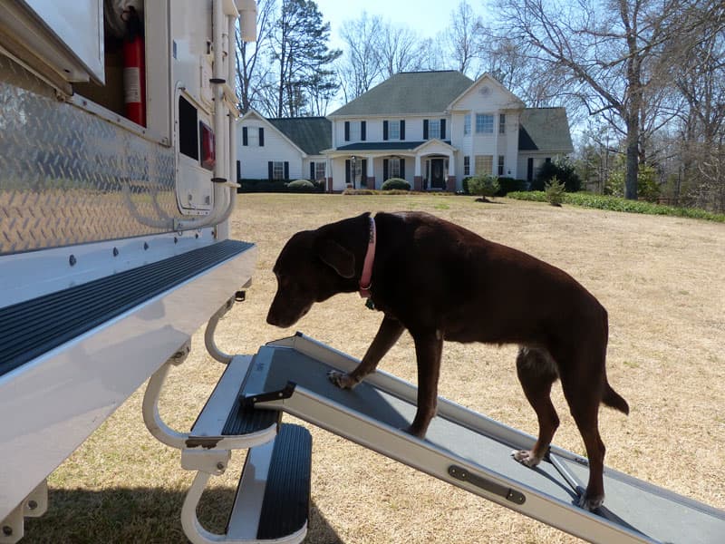 Dog Ramp Into Camper