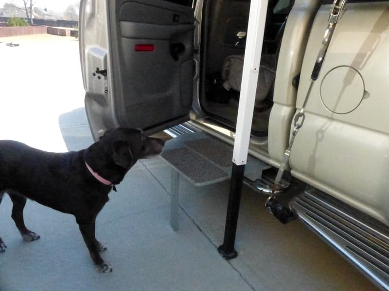 Dog step for Snickers to get in truck