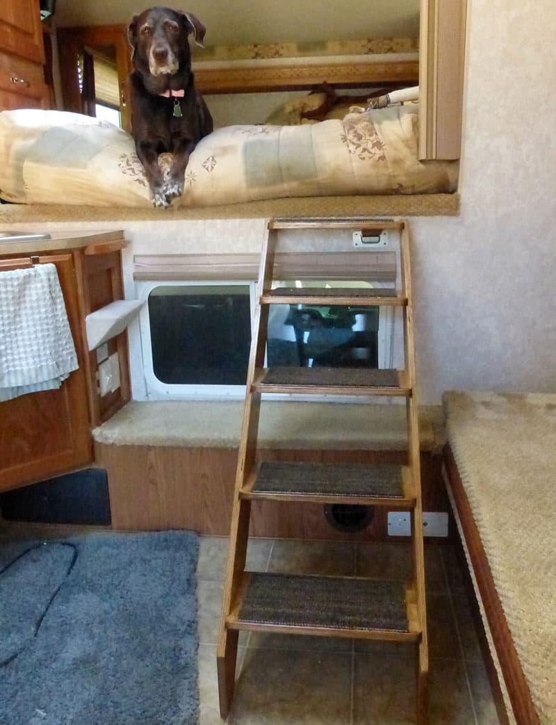 Dog Ladder Into Overcab Bed