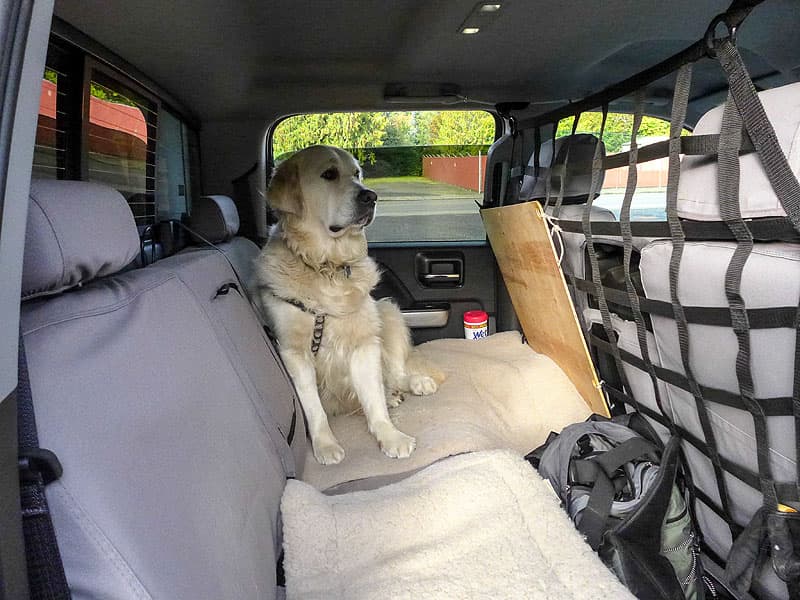 Dog netting protects the dogs in the truck