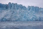 Alaska-Miller-icefield-6