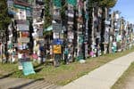 Alaska-Miller-signpost-forest-232