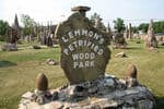 EC-950-Lemmon-Petrified-Wood-Park