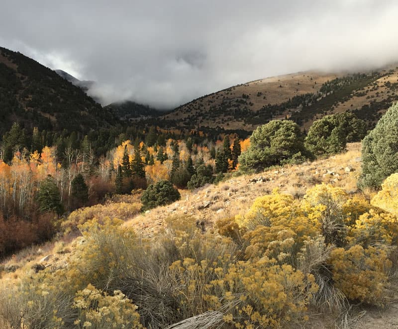 Early Snow Falling On Wheeler Peak