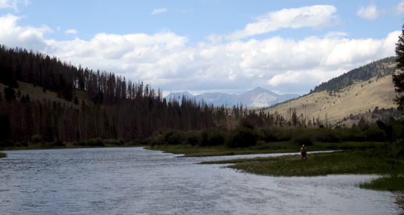 East Bank, Montana fishing