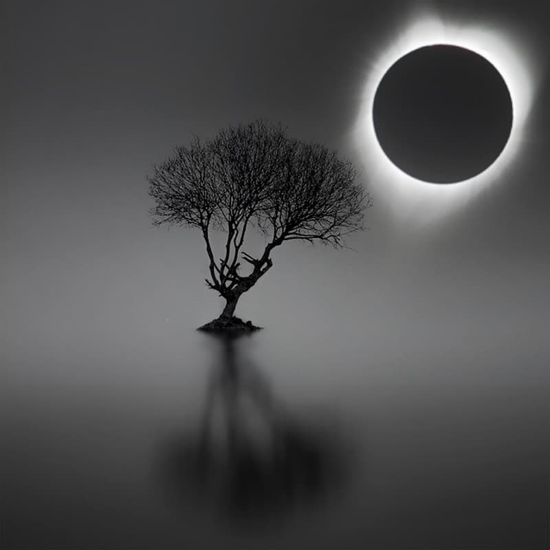 Eclipse and tree Noll