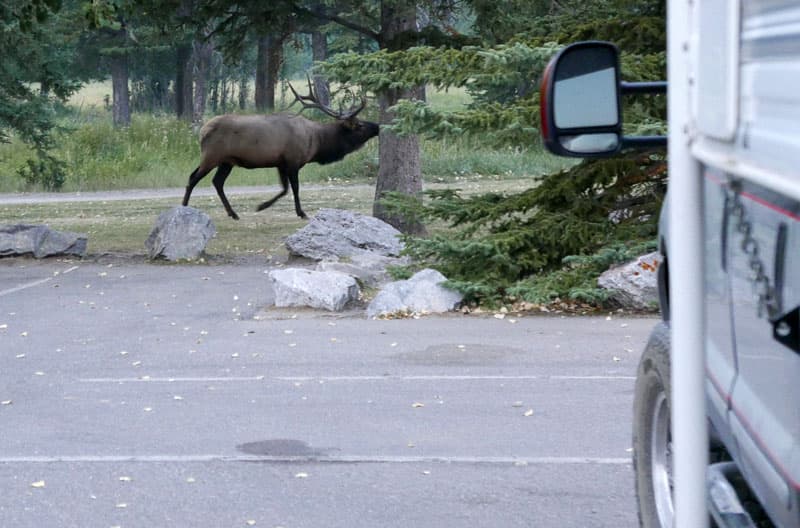 Elk Rock Resolution