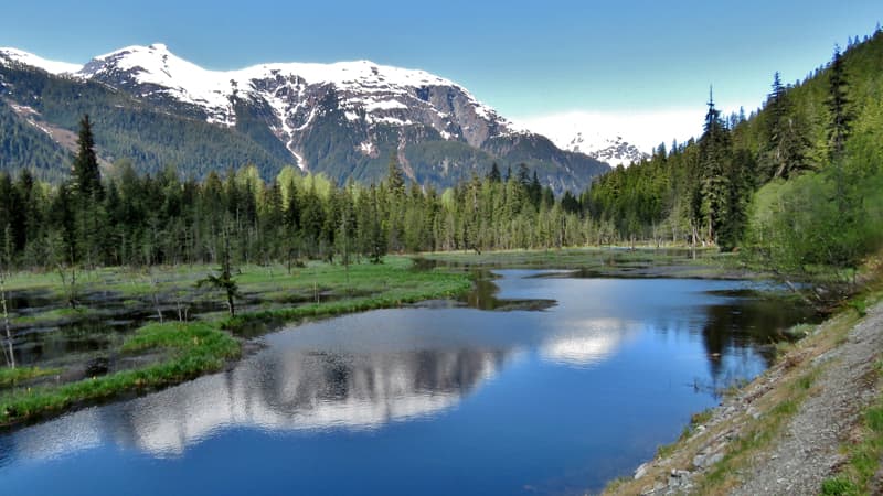 Fish Creek, Hyder, Alaska scenery