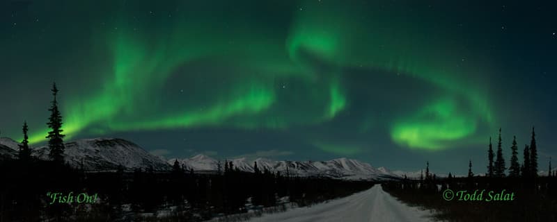 Fish On with Auroras in Motion