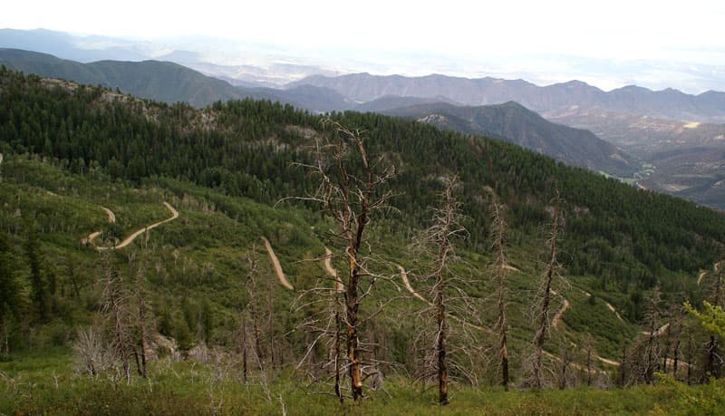 Forest Road 603 Switchbacks