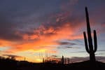 Full-Time-Four-Wheel-Camper-Organ-Pipe-National-Monument