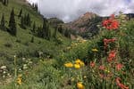 Full-Time-Four-Wheel-Camper-crested-butte-colorado