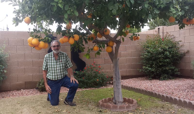 Frank with oranges