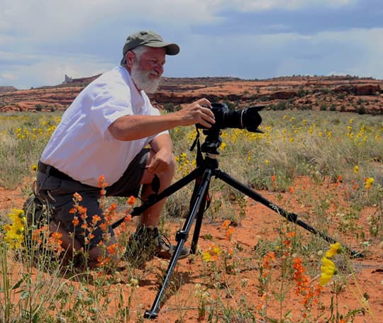 full-time-rv-Desert-Wildflowers-in-Canyonlands-National-Park