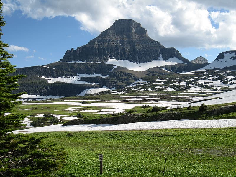 Logan Pass snow, Glacier 