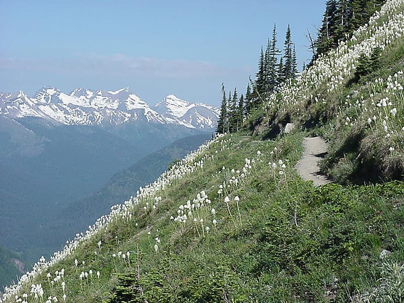 Highline Trail, Glacier National Park