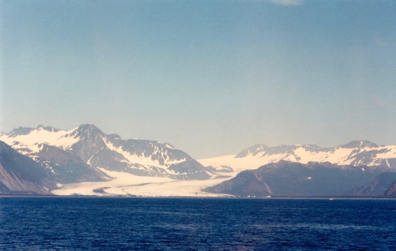 Glacier whale watching cruise out of Seward, Alaska